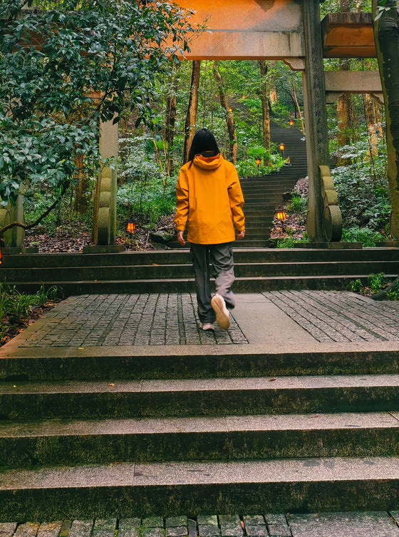 A walker in a yellow jacket on woodland steps